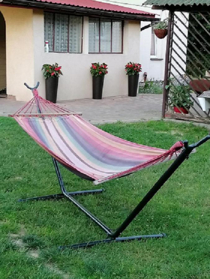 Magnolia Gospodarstwo Agroturystyczne كاجيمير دولنه المظهر الخارجي الصورة